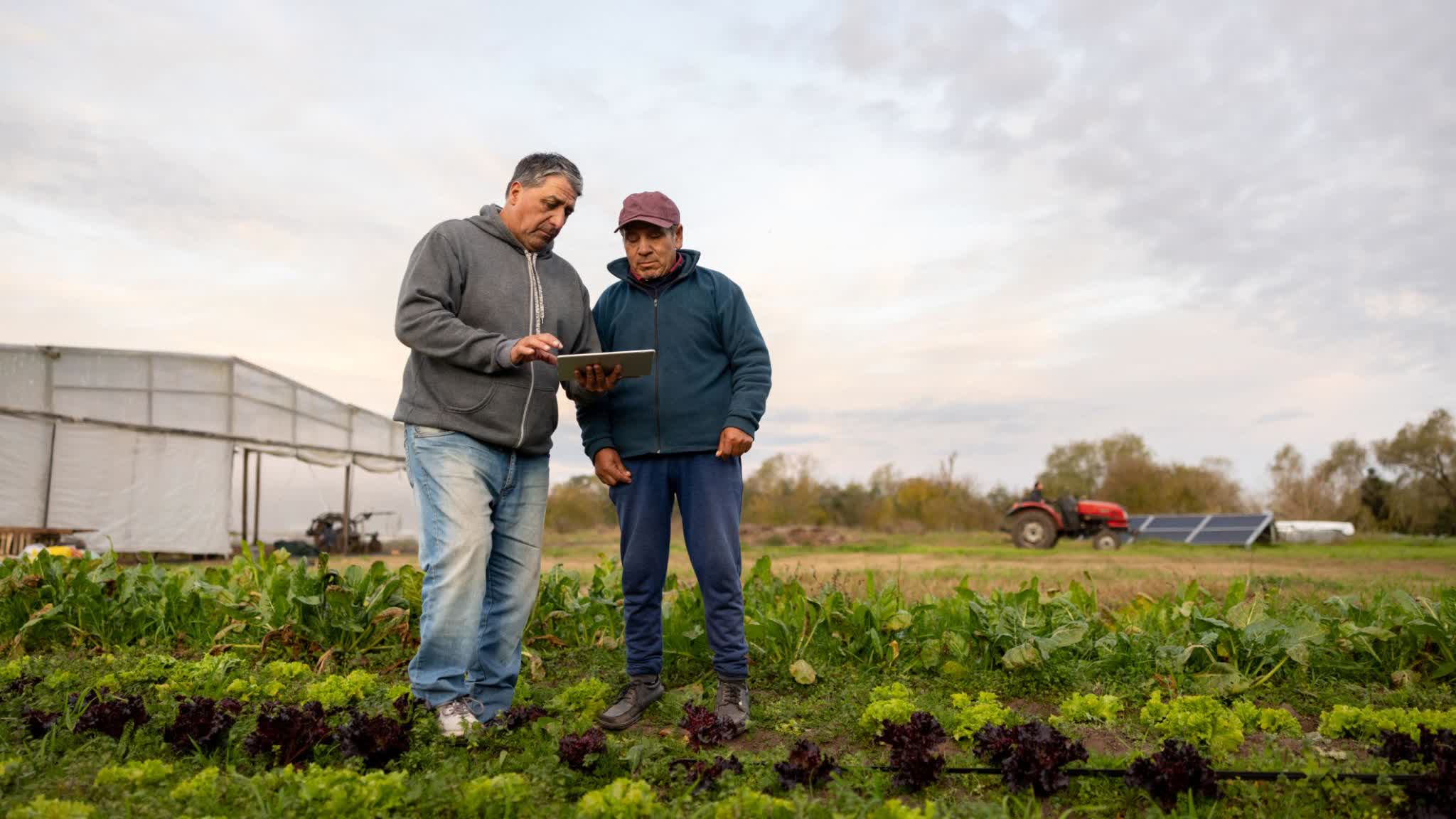 Agronegócio: Conectando produtores, agrônomos e indústria com dados, modelos preditivos e dashboards para uma cadeia mais eficiente